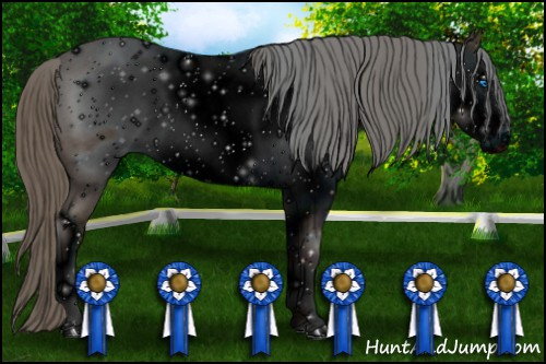 Horse Color: ERROR: UNKNOWN ANOMALY