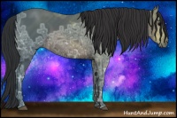 Horse Color:Brown Ice 