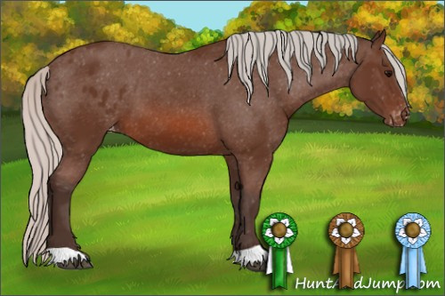 Horse Color: Silver Brown Blanket 