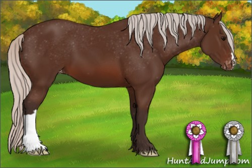 Horse Color: Silver Brown Varnish 
