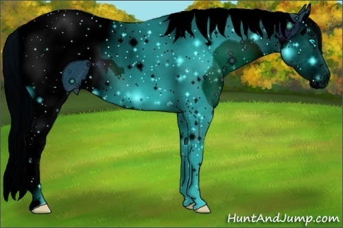 Horse Color: ERROR: UNKNOWN ANOMALY