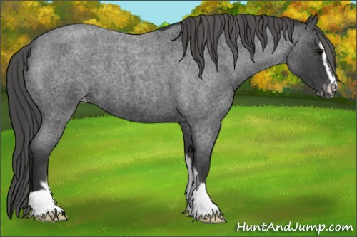 Horse Color: Blue Roan Sabino Varnish 