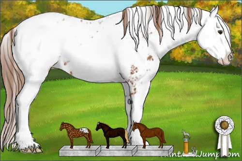 Horse Color: Liver Chestnut Sabino Blanket 