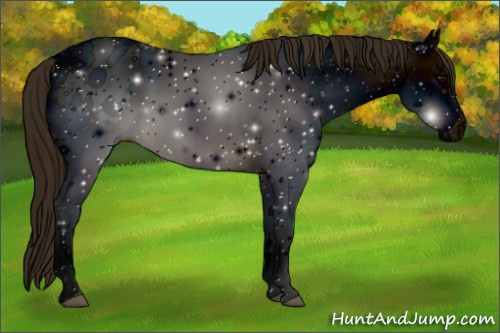 Horse Color: ERROR: UNKNOWN ANOMALY