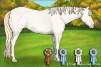 Horse Color:White Spotted Classic Cream Champagne Pearl Dun Sabino