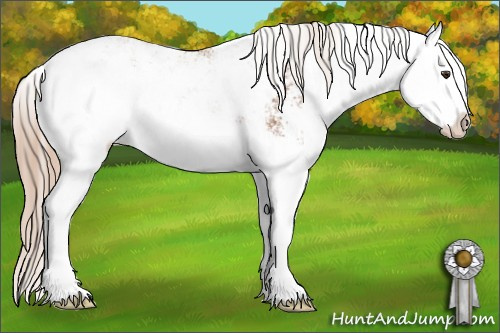 Horse Color: Liver Chestnut Sabino Splash 