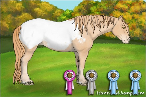 Horse Color: Gold Champagne Snowcap 