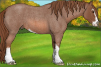 Horse Color:Liver Red Roan Sabino