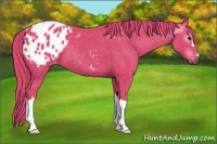 Horse Color:Gray Watercolor Chestnut Blanket 