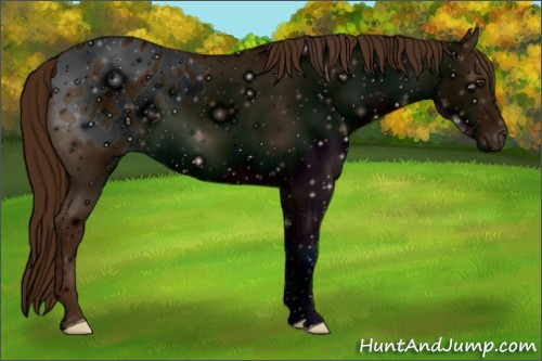 Horse Color: ERROR: UNKNOWN ANOMALY