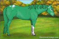 Horse Color:Gray Watercolor Black Appaloosa 