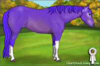 Horse Color:Gray Watercolor Bay Appaloosa
