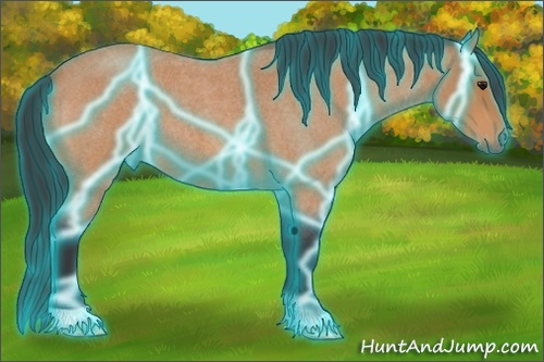 Horse Color: Thunderstruck Bay Roan 