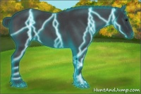 Horse Color:Thunderstruck Blue Roan 