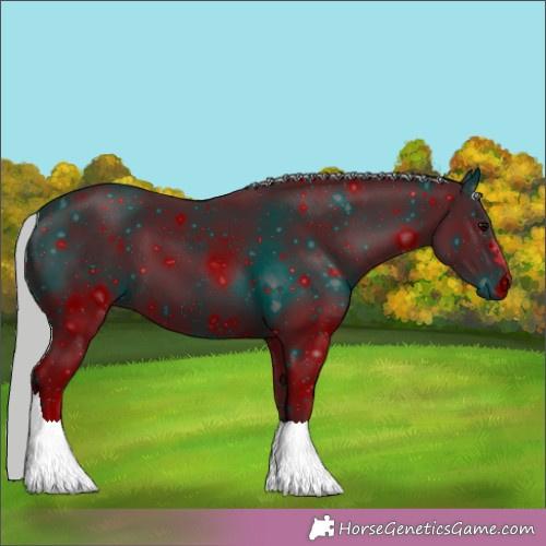 Horse Color: ERROR: UNKNOWN ANOMALY