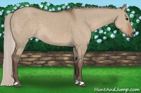 Horse Color:Silver Grullo 