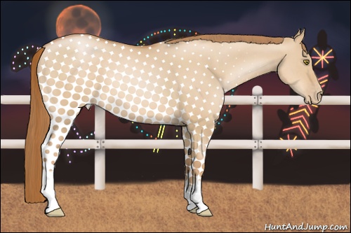 Horse Color: Red Dun Pearl 