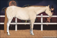 Horse Color:Red Dun Pearl 