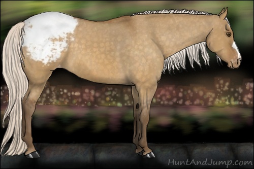 Horse Color: Silver Buckskin Dun Snowcap 