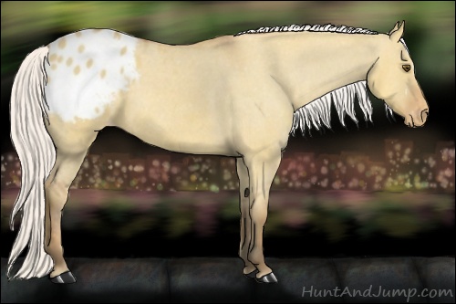 Horse Color: Silver Buckskin Dun Blanket 