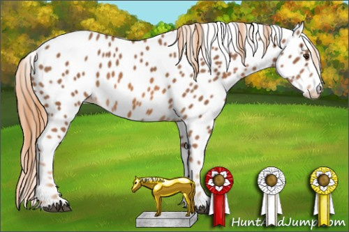 Horse Color: Chestnut Leopard 
