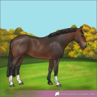 Horse Color:Brown 