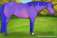 Horse Color:Watercolor Bay