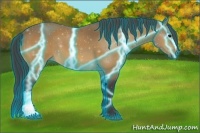 Horse Color:ERROR: UNKNOWN ANOMALY