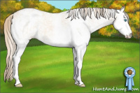 Horse Color:White Spotted Perlino Dun 