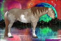 Horse Color:Gray White Spotted Chestnut Ice 