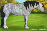 Horse Color:Gray Smoky Black Ice 