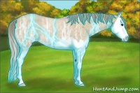 Horse Color:Thunderstruck Chocolate Palomino Ice Dun Splash Rabicano 