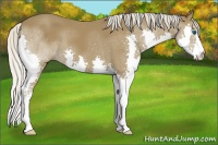 Horse Color:Silver Smoky Black Splash 