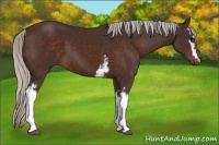 Horse Color:White Spotted Silver Bay 