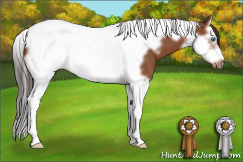 Horse Color: Bay Splash Tobiano Frame 