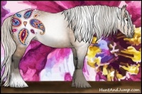 Horse Color:Gray Silver Buckskin 