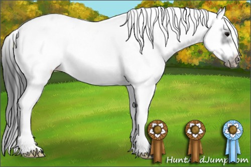 Horse Color: White Spotted Black Frame Near Leopard 