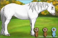 Horse Color:White Spotted Black Frame Appaloosa