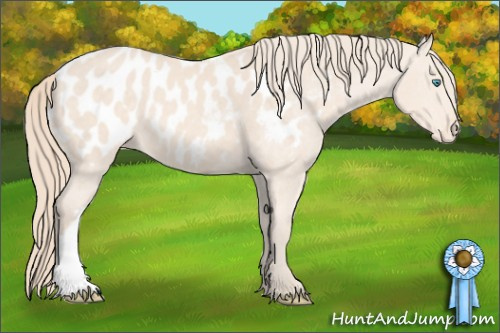 Horse Color: Perlino Blanket Rabicano 