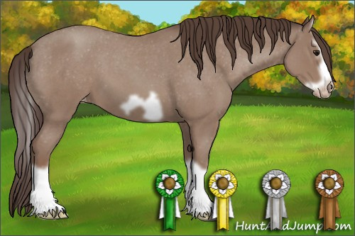 Horse Color: Classic Champagne Roan Splash Frame Varnish 