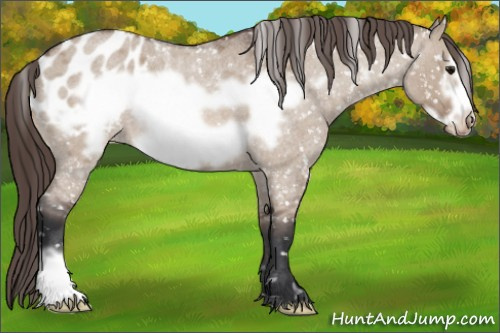 Horse Color: Brown Roan Dun Frame Blanket 