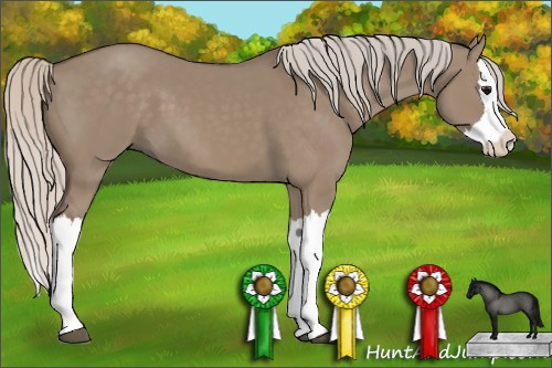Horse Color: Silver Grullo Splash 