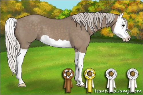 Horse Color: Silver Grullo Splash 