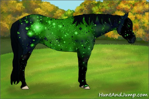 Horse Color: ERROR: UNKNOWN ANOMALY