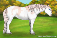 Horse Color:Watercolor Palomino Pearl Splash Tobiano Varnish 
