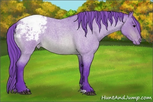 Horse Color: Watercolor Bay Roan Snowcap 