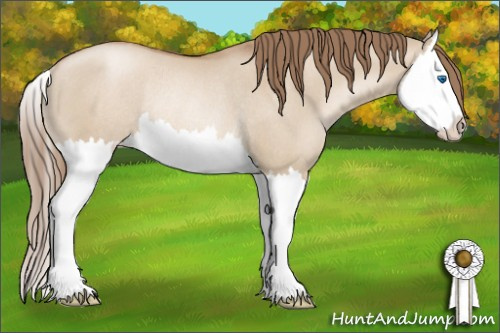 Horse Color: Grullo Pearl Splash Rabicano 