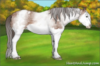 Horse Color:White Spotted Bay Roan Splash Snowcap 