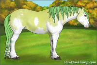 Horse Color:Watercolor Bay Splash Appaloosa 