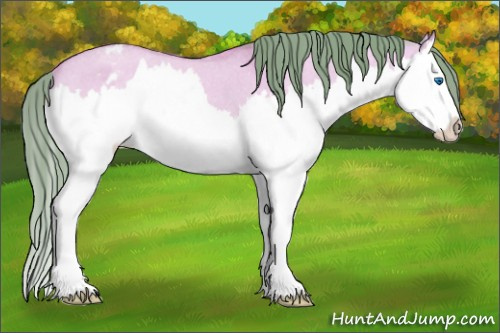 Horse Color: Watercolor Bay Roan Dun Splash Varnish 